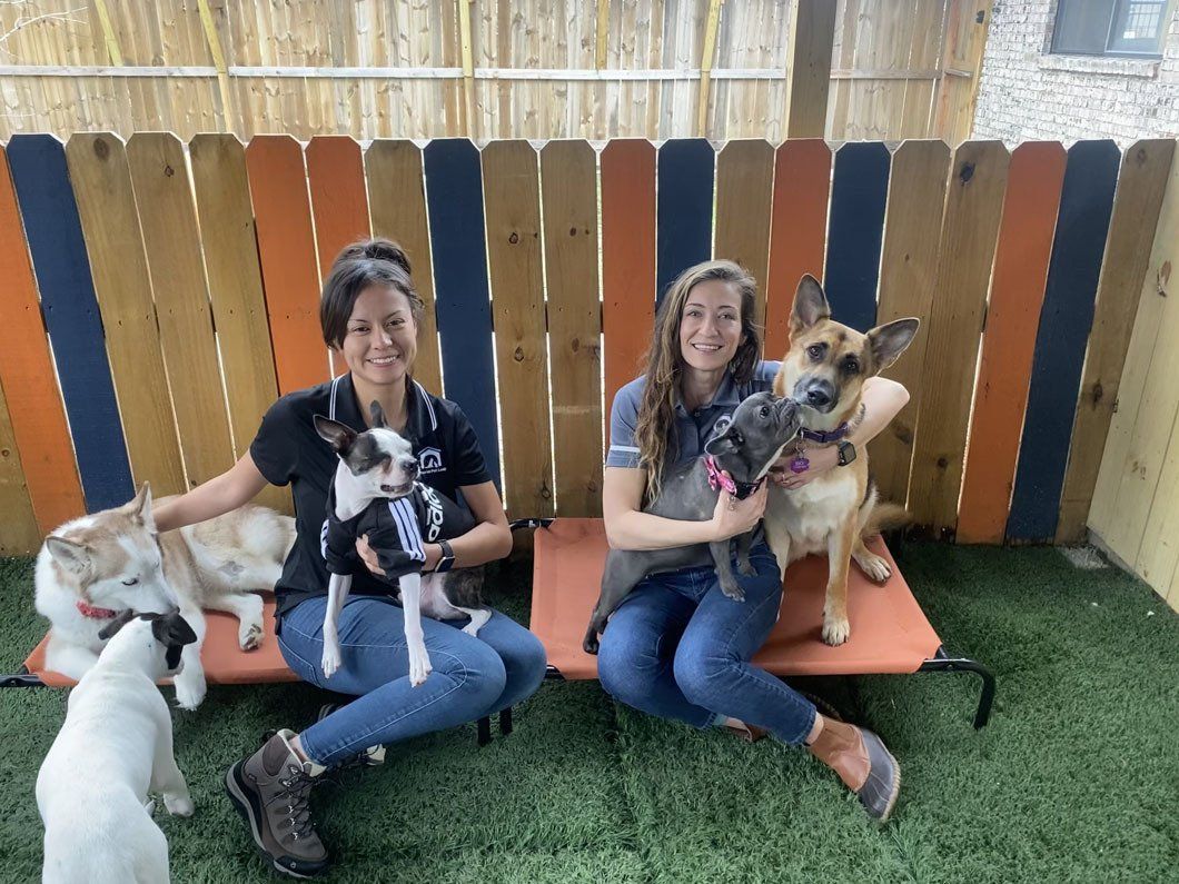 Two women are sitting on a bench with their dogs.