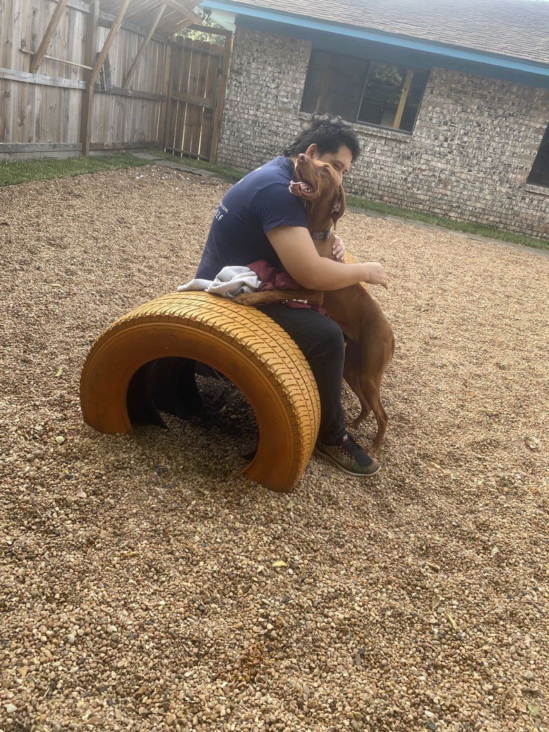 A man is sitting on a tire with a dog on it.