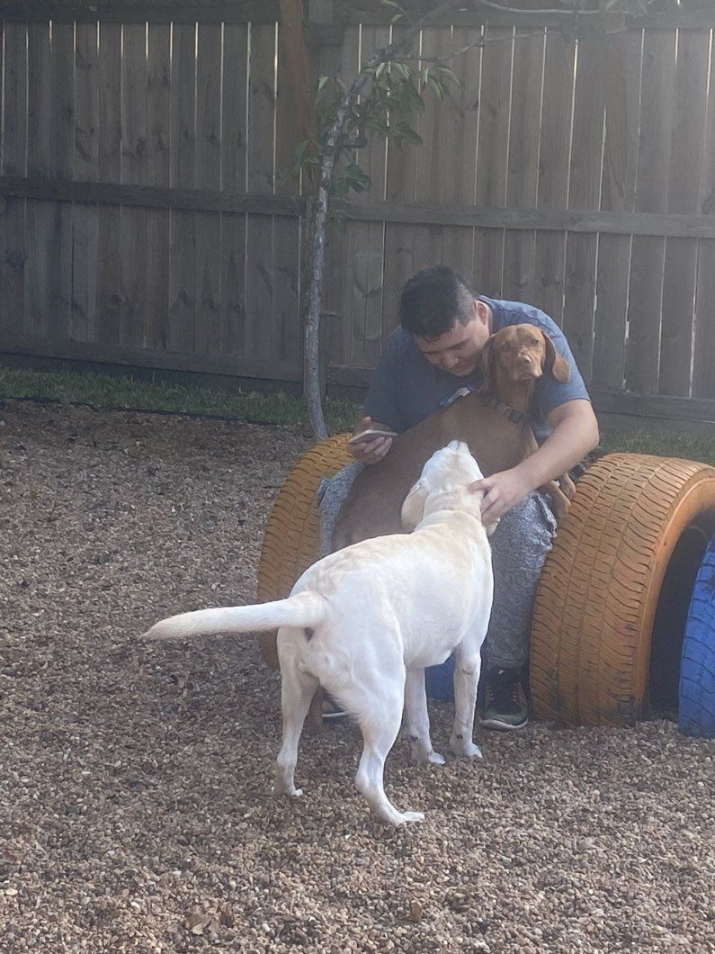A man is playing with two dogs in a backyard.