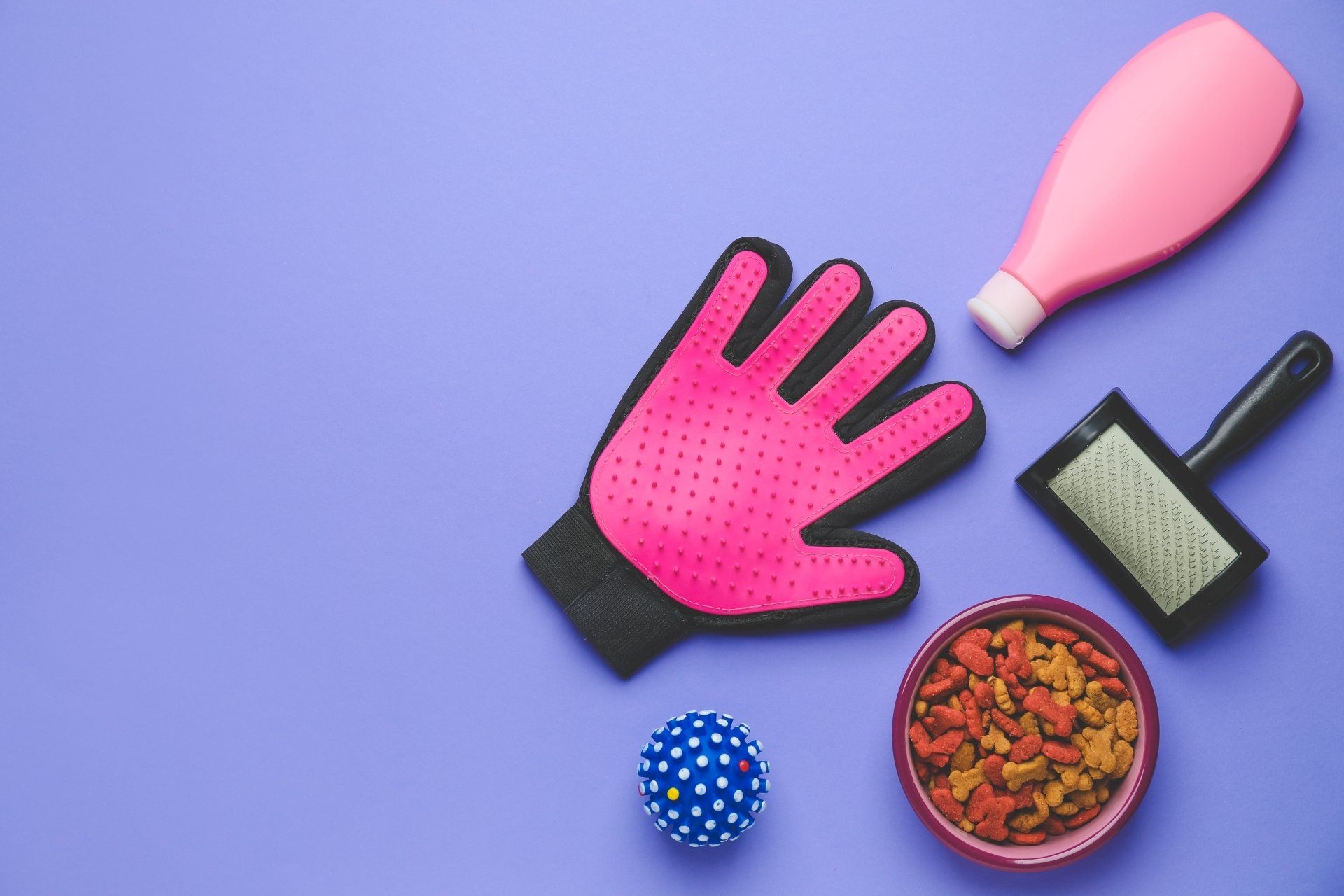 Pet care accessories and grooming glove on color background