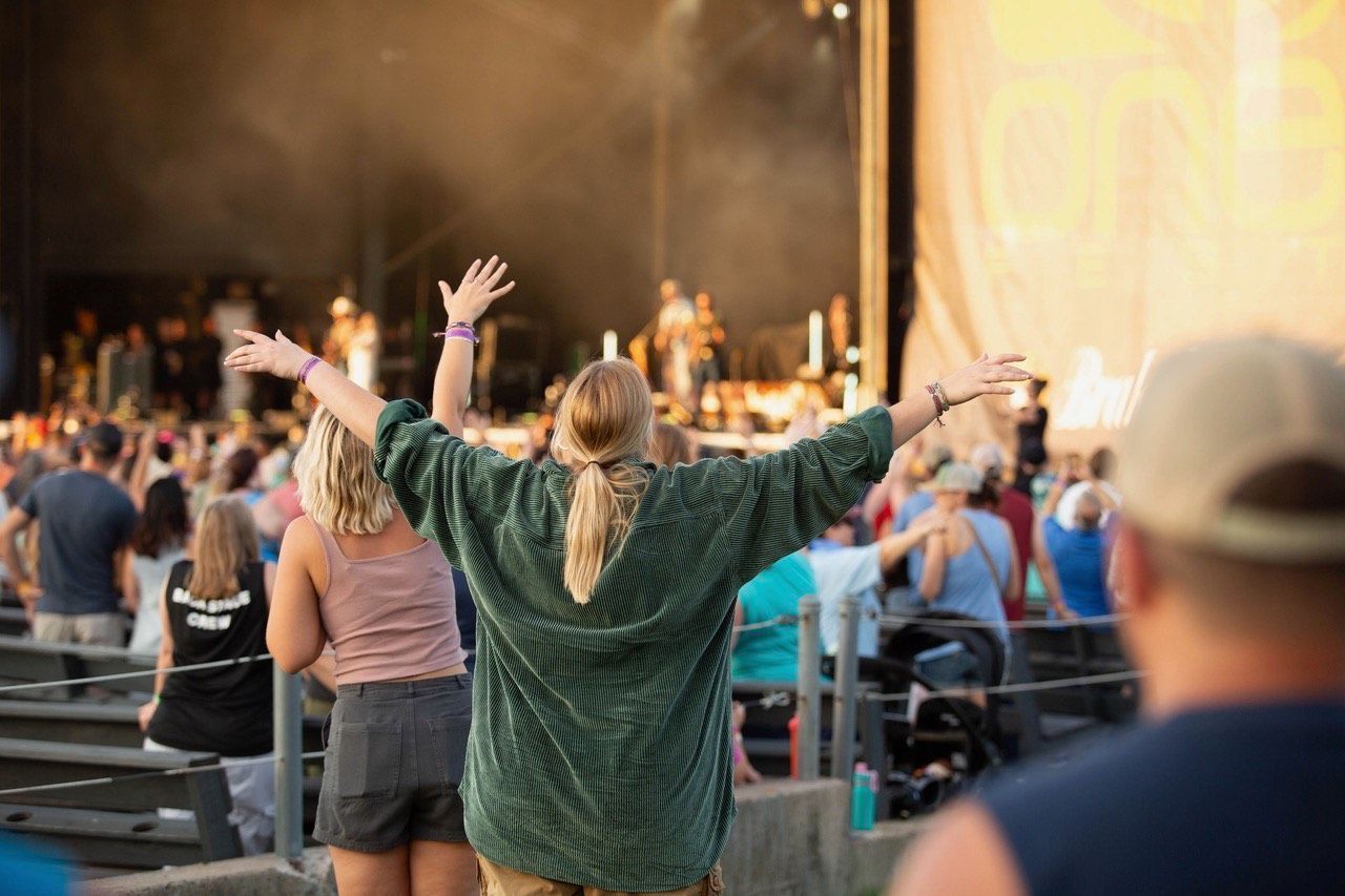 A person with arms raised at an outdoor music concert, facing the stage. A crowd of people are in attendance.
