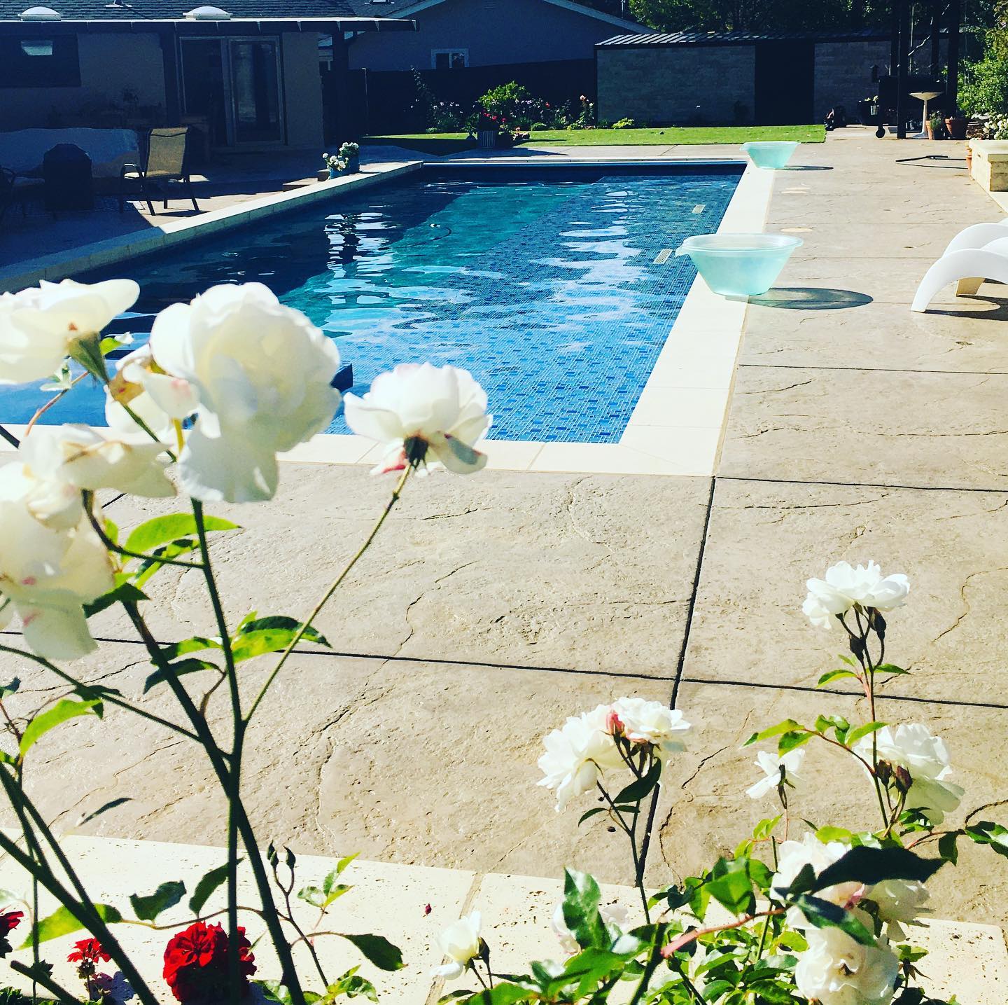 New House Swimming Pool — Burlingame, CA — Bay Area Pools, Inc.