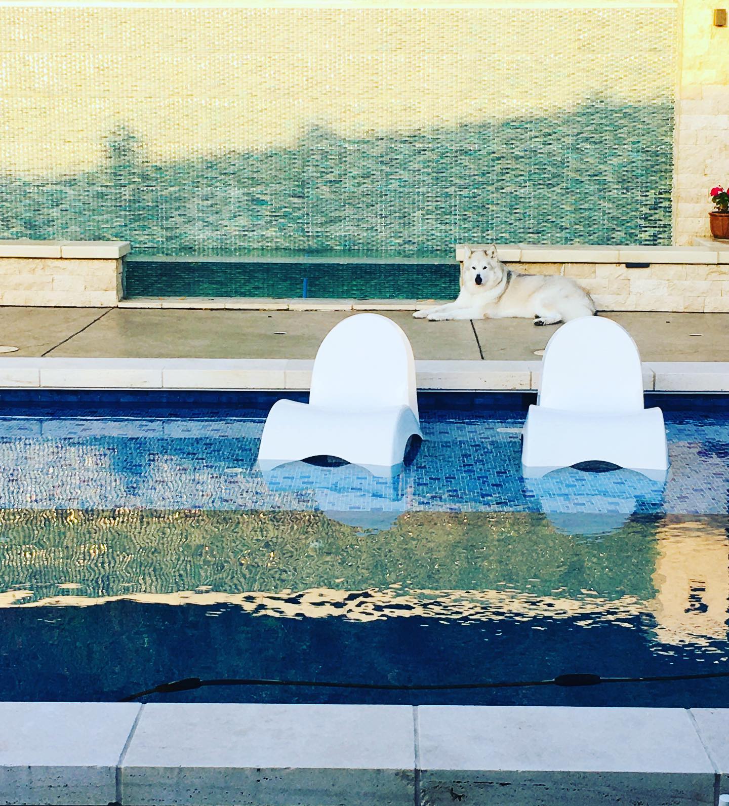 Pool with Decorative Accents — Burlingame, CA — Bay Area Pools, Inc.