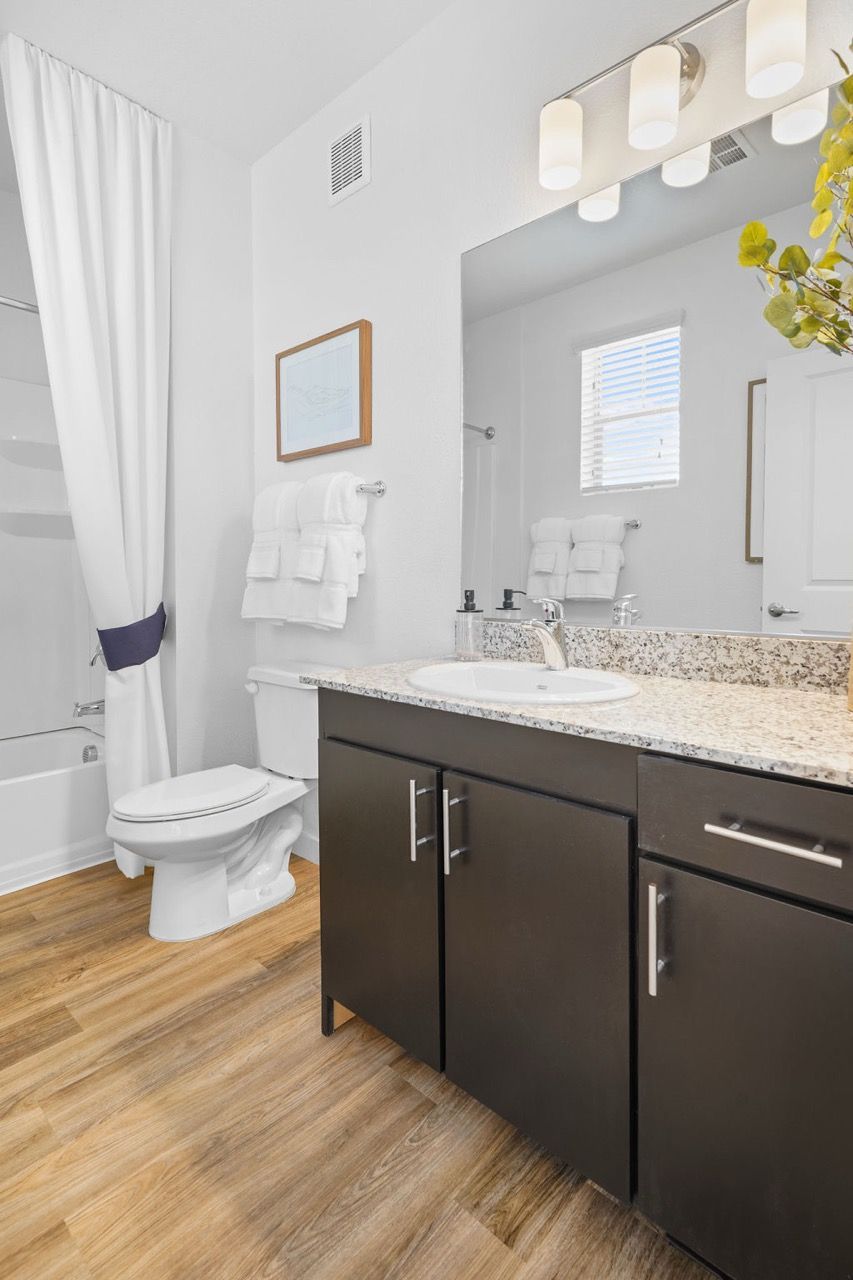 Bathroom with granite countertop, dark vanity, mirror, toilet, and a shower curtain.