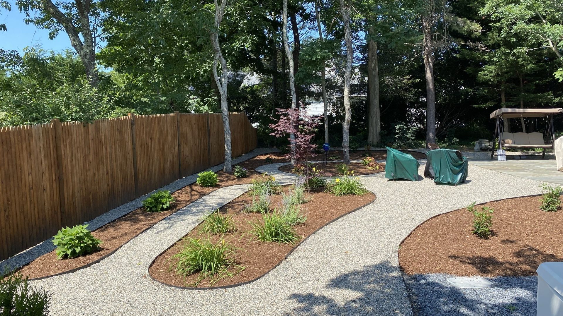 A sunny backyard featuring curved mulch garden beds, pea gravel paths, a tall bamboo fence, and green trees.