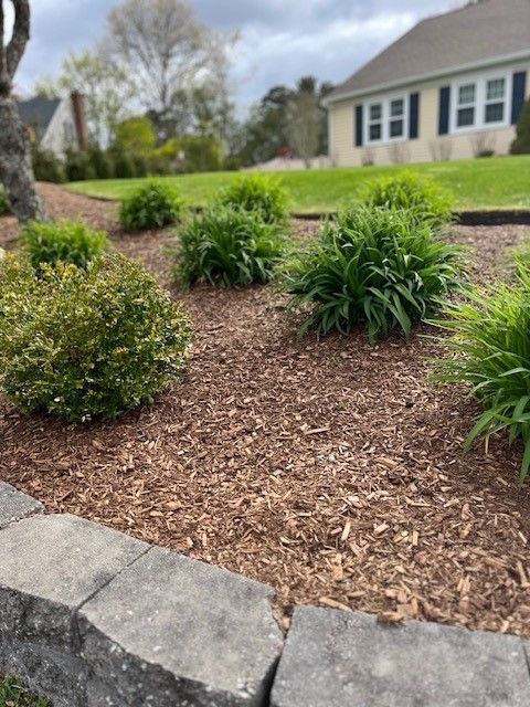 A garden bed with mulch and various green shrubs, bordered by grey stone blocks in front of a house.