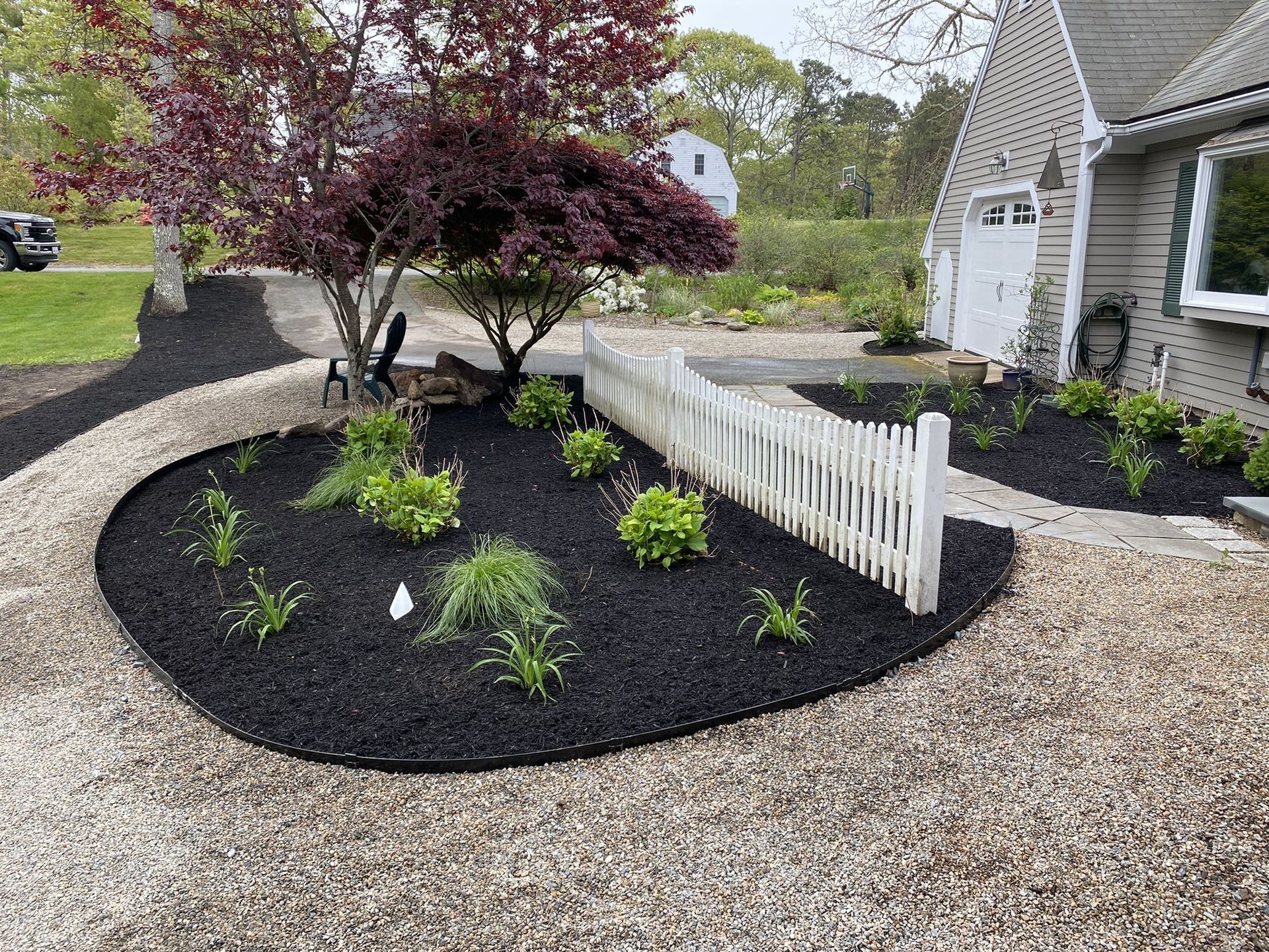 A landscaped garden bed with black mulch, small green plants, and a white picket fence in front of a house.