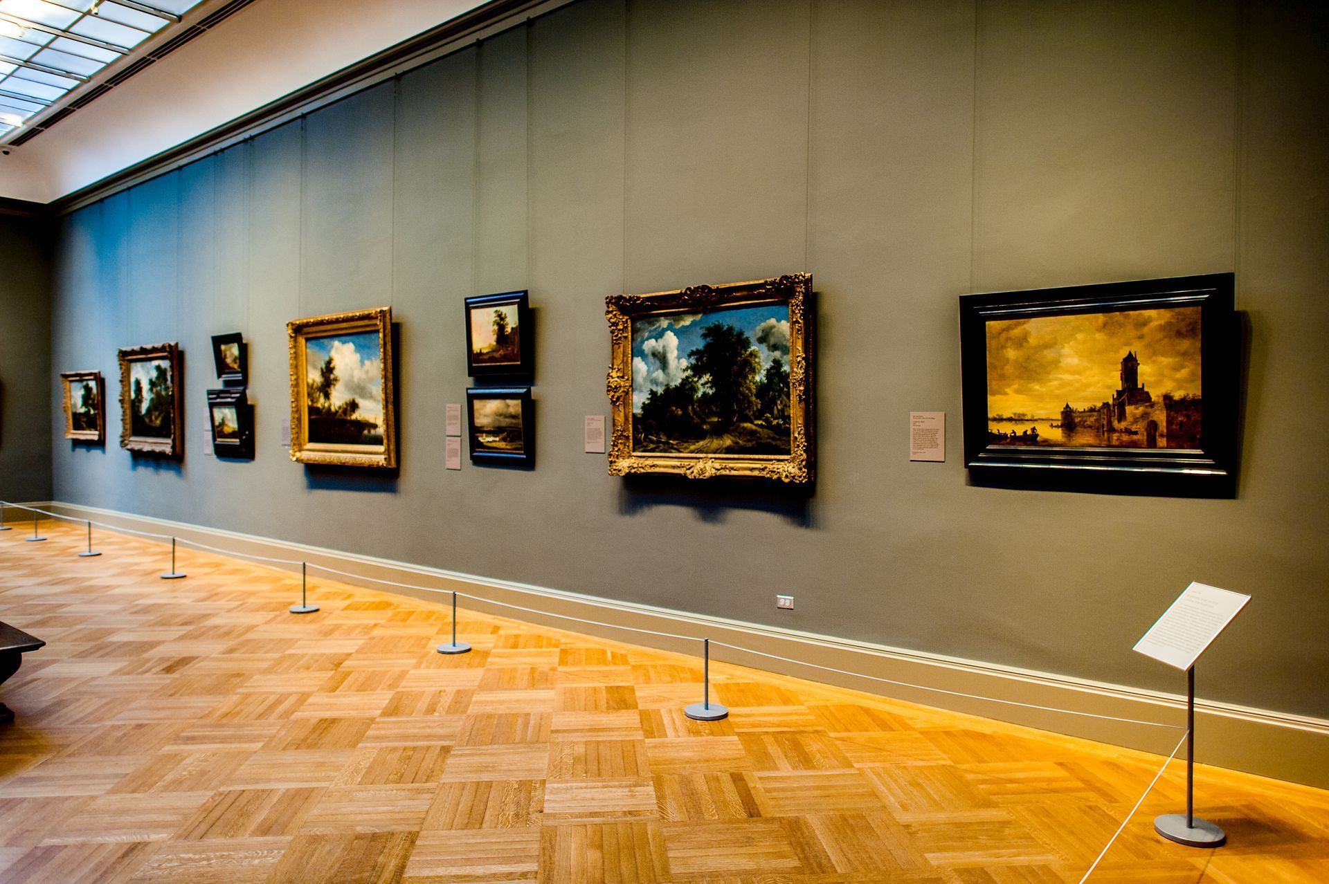 Large tortoise on dirt, looking at the camera. Another tortoise in the background, a person on the right.