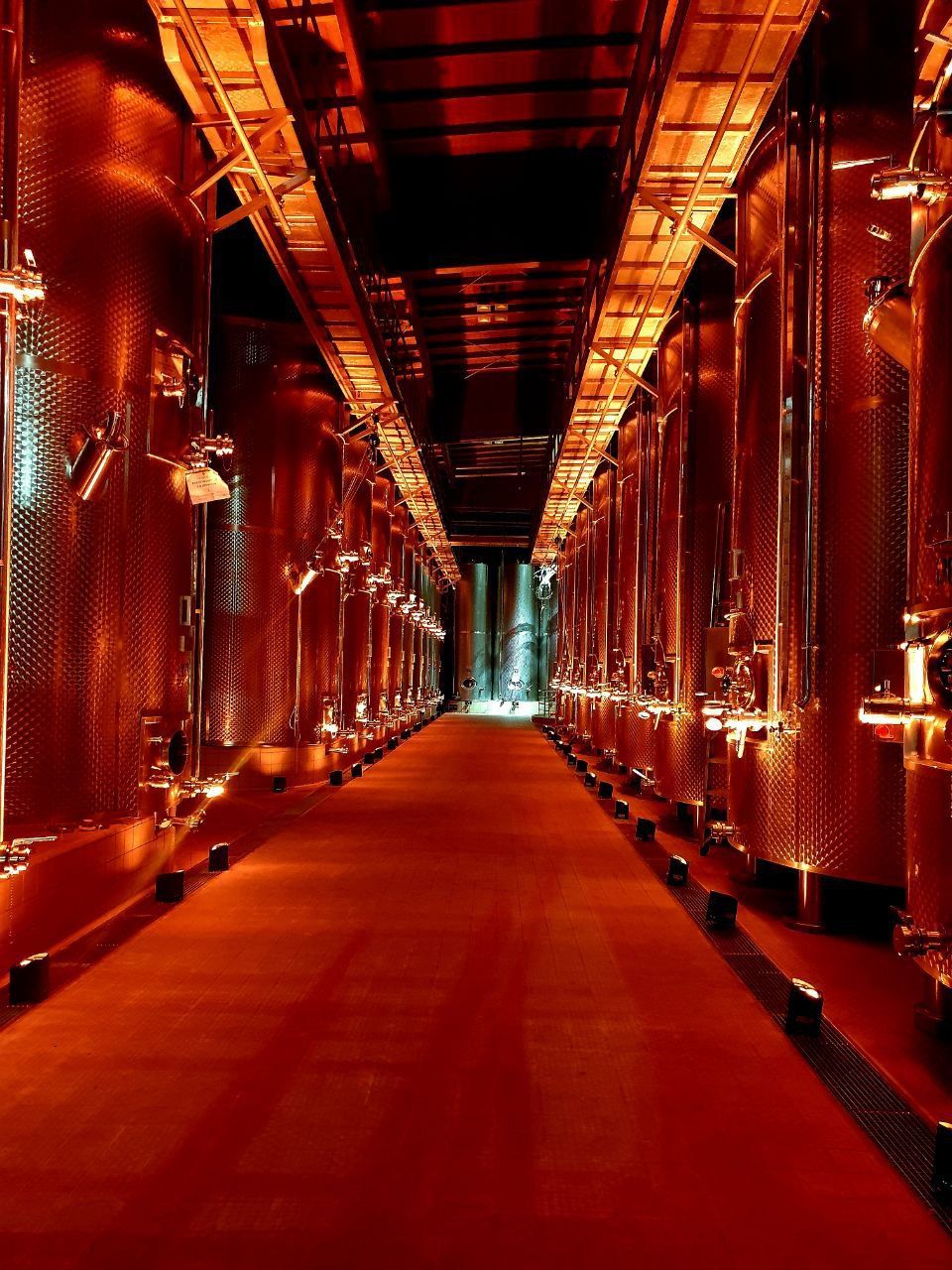 Lungo corridoio illuminato di rosso in una cantina vinicola, fiancheggiato da grandi cisterne metalliche.