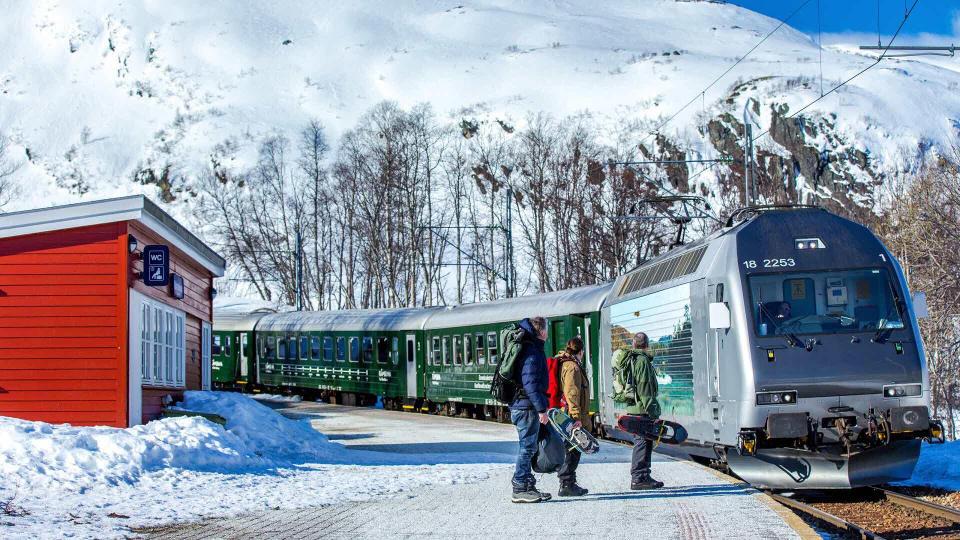 Norway Fjord Tours - Flåm Railway
