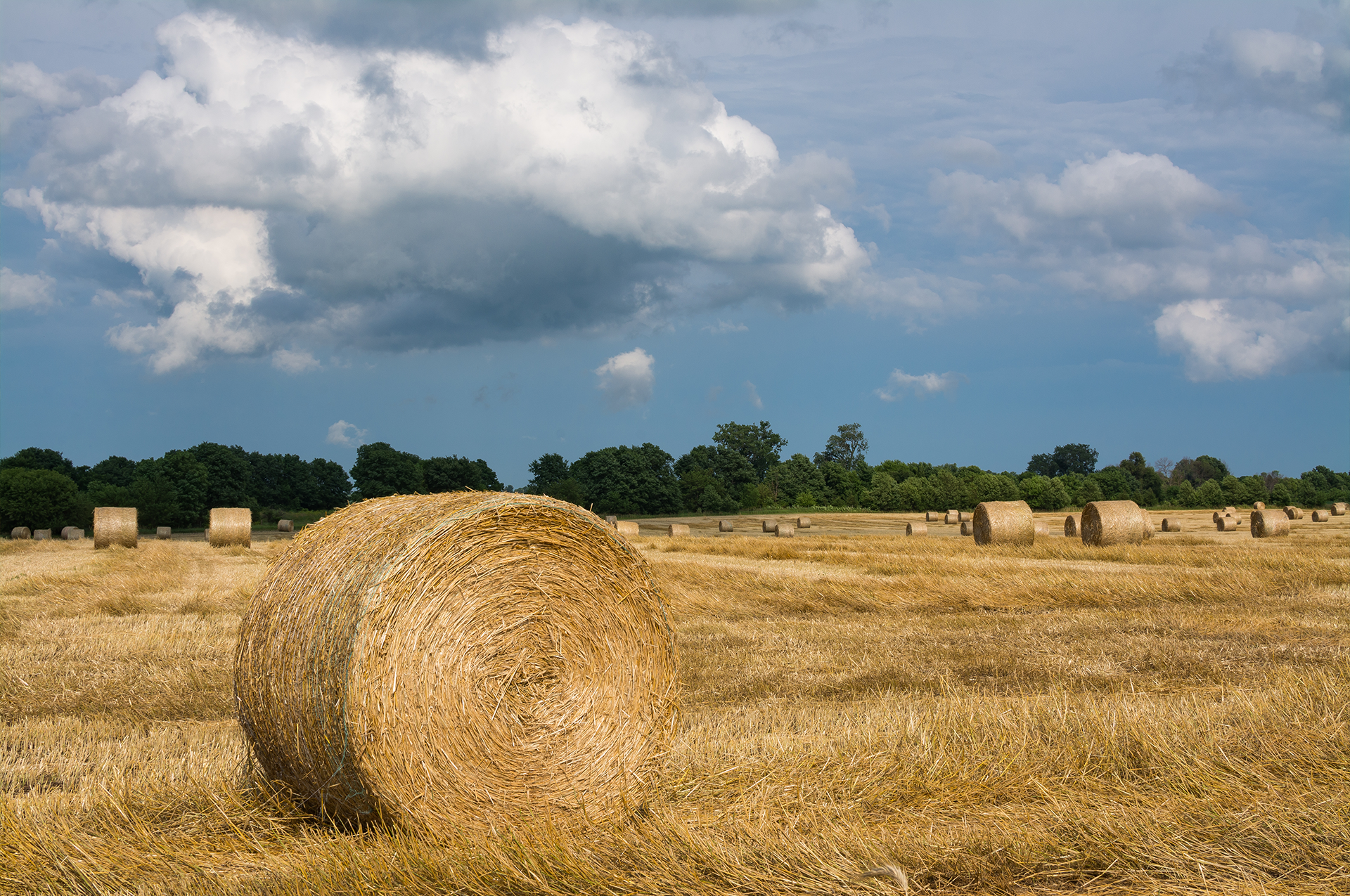 A large bale of hay is sitting in the middle of a field.