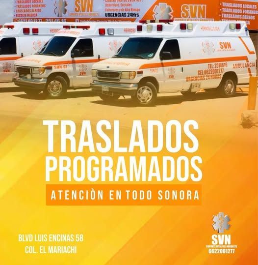 Una fila de ambulancias están estacionadas una al lado de la otra