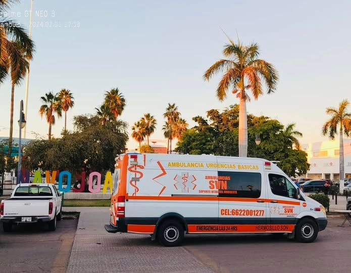 Una ambulancia está estacionada frente a unas palmeras.