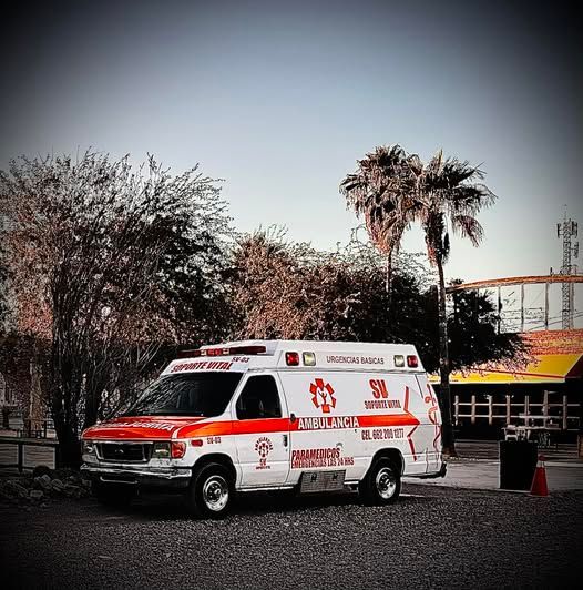 Una ambulancia está estacionada en un estacionamiento con palmeras al fondo.