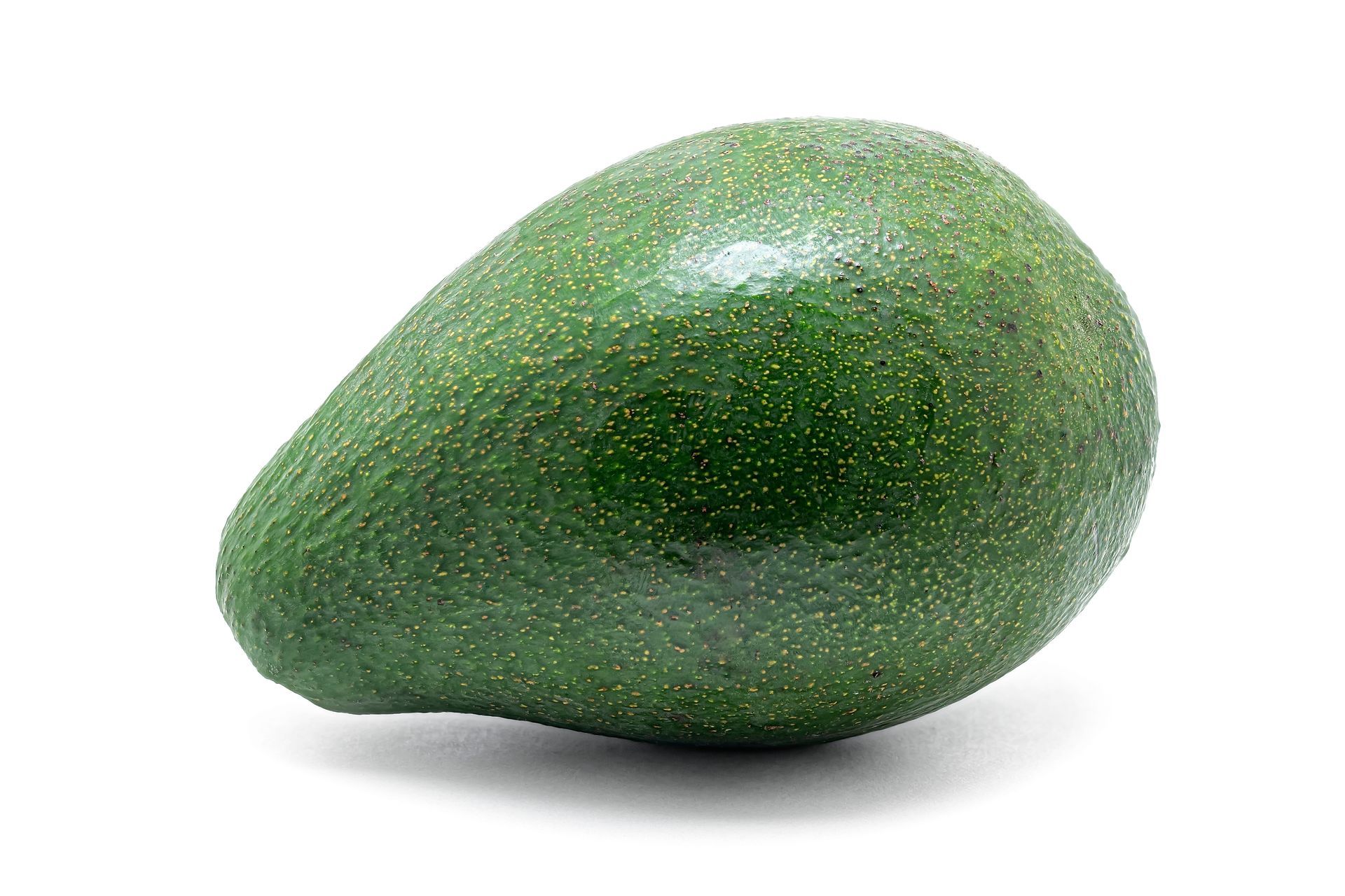 Avocado Fuerte Green Skin