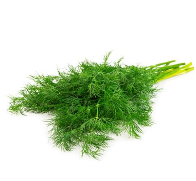 Dill