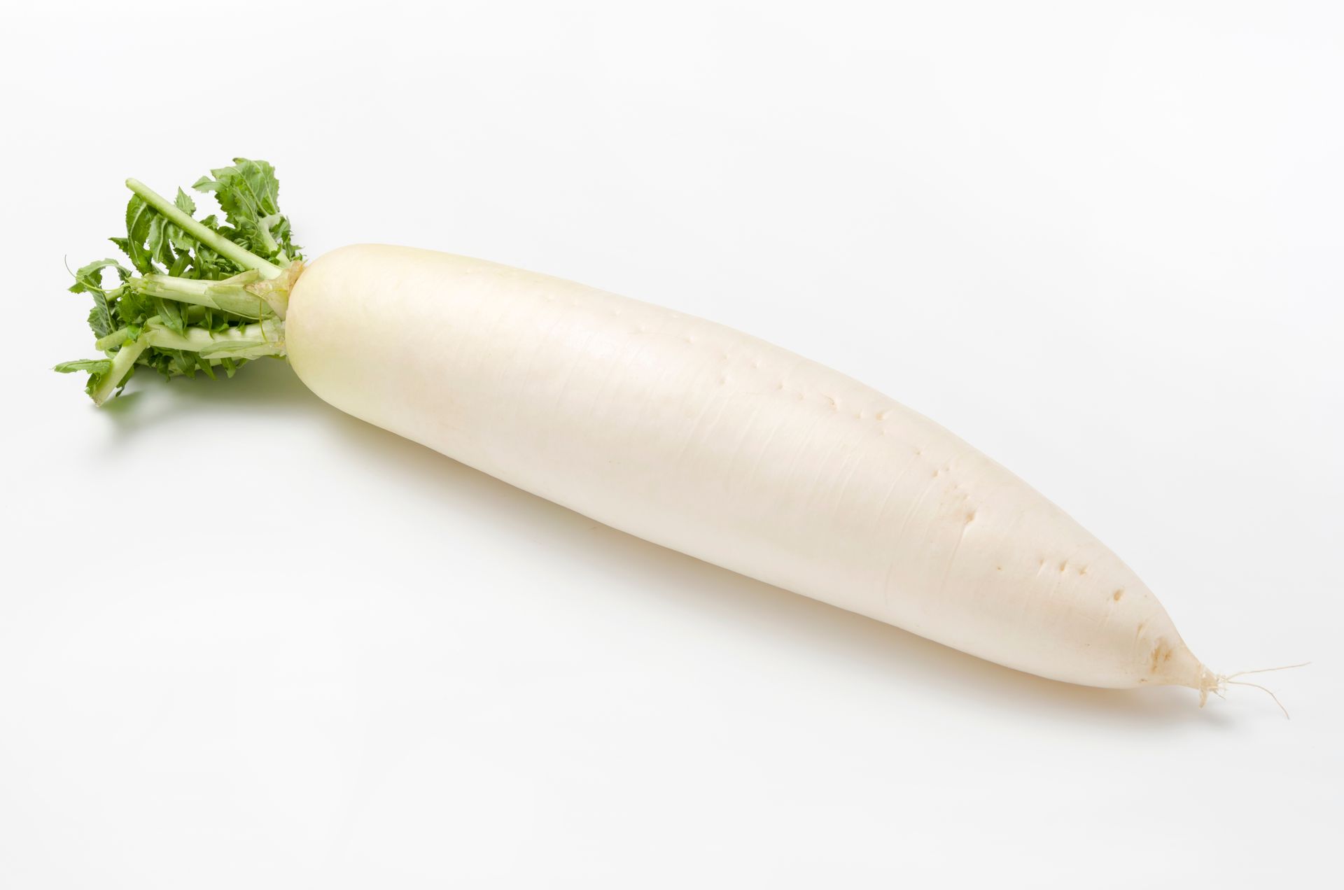 Mooli, Daikon
