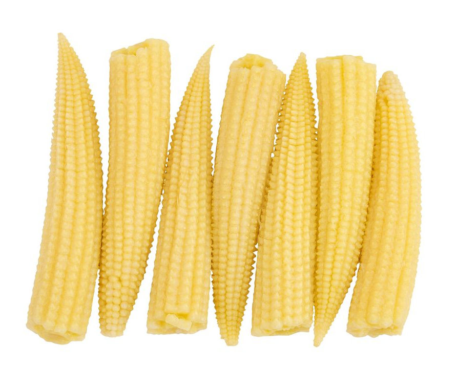 Baby Corn