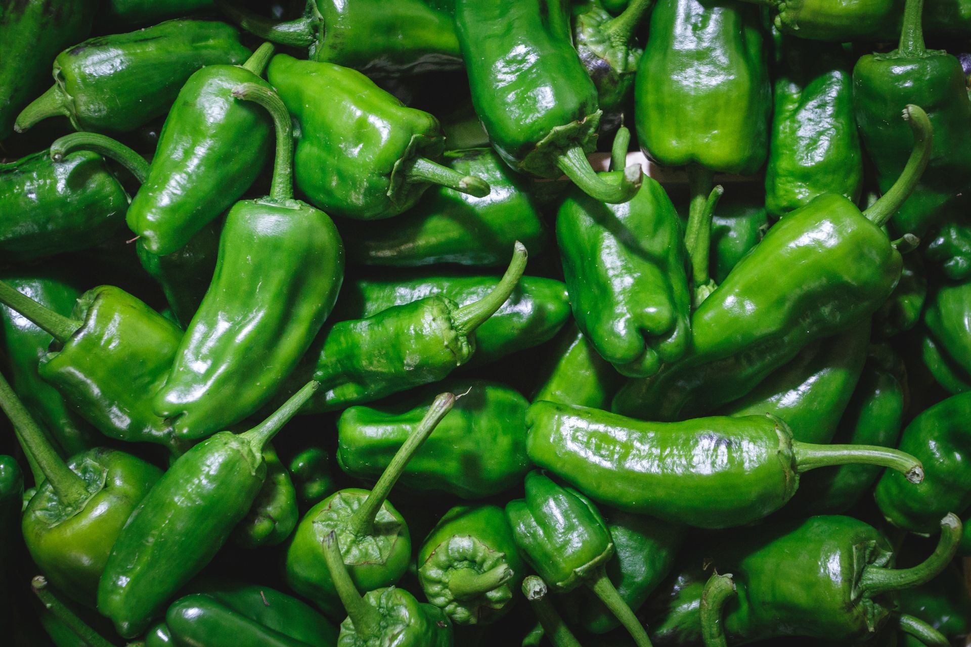 Padrón Peppers