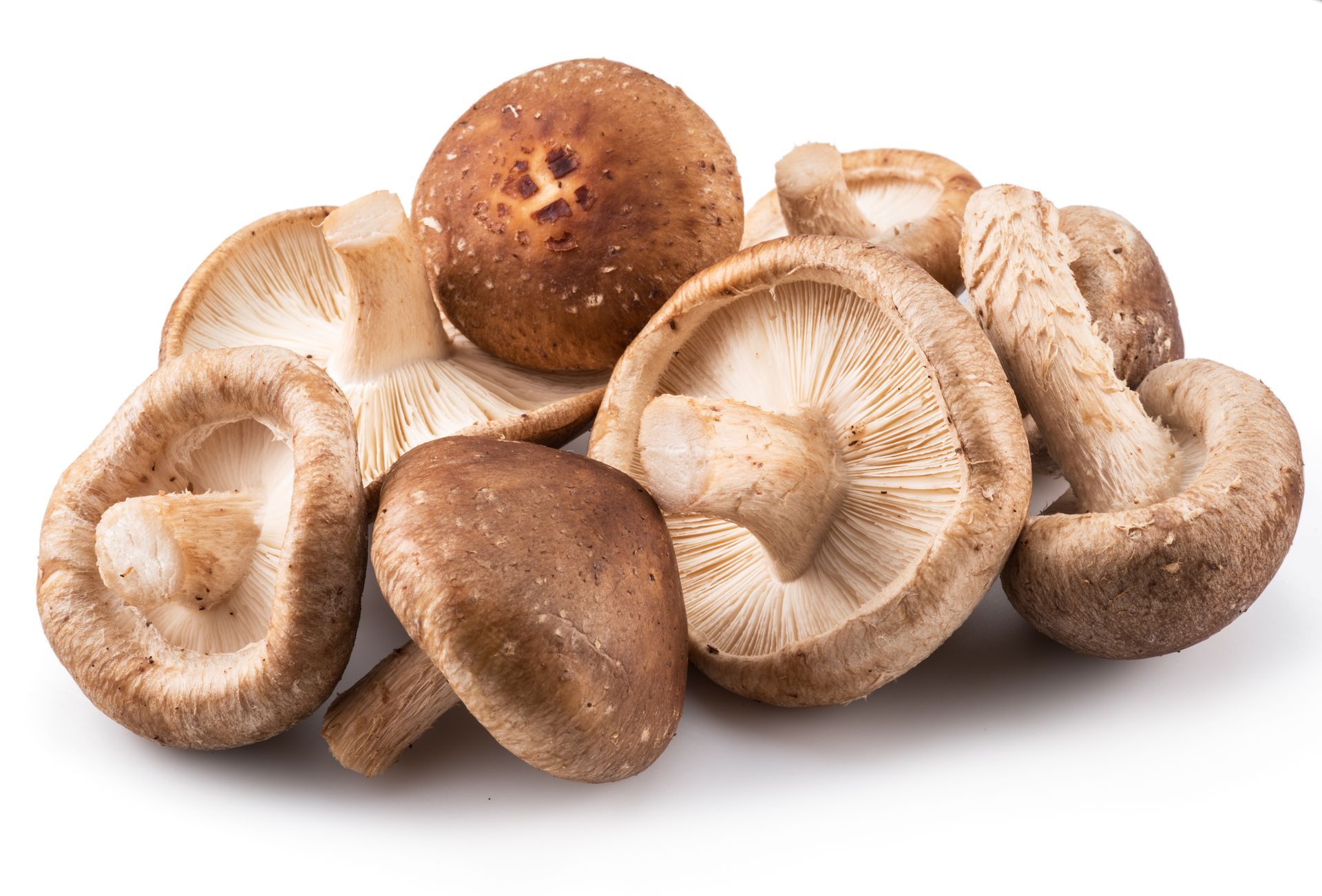 Shiitaki Mushrooms