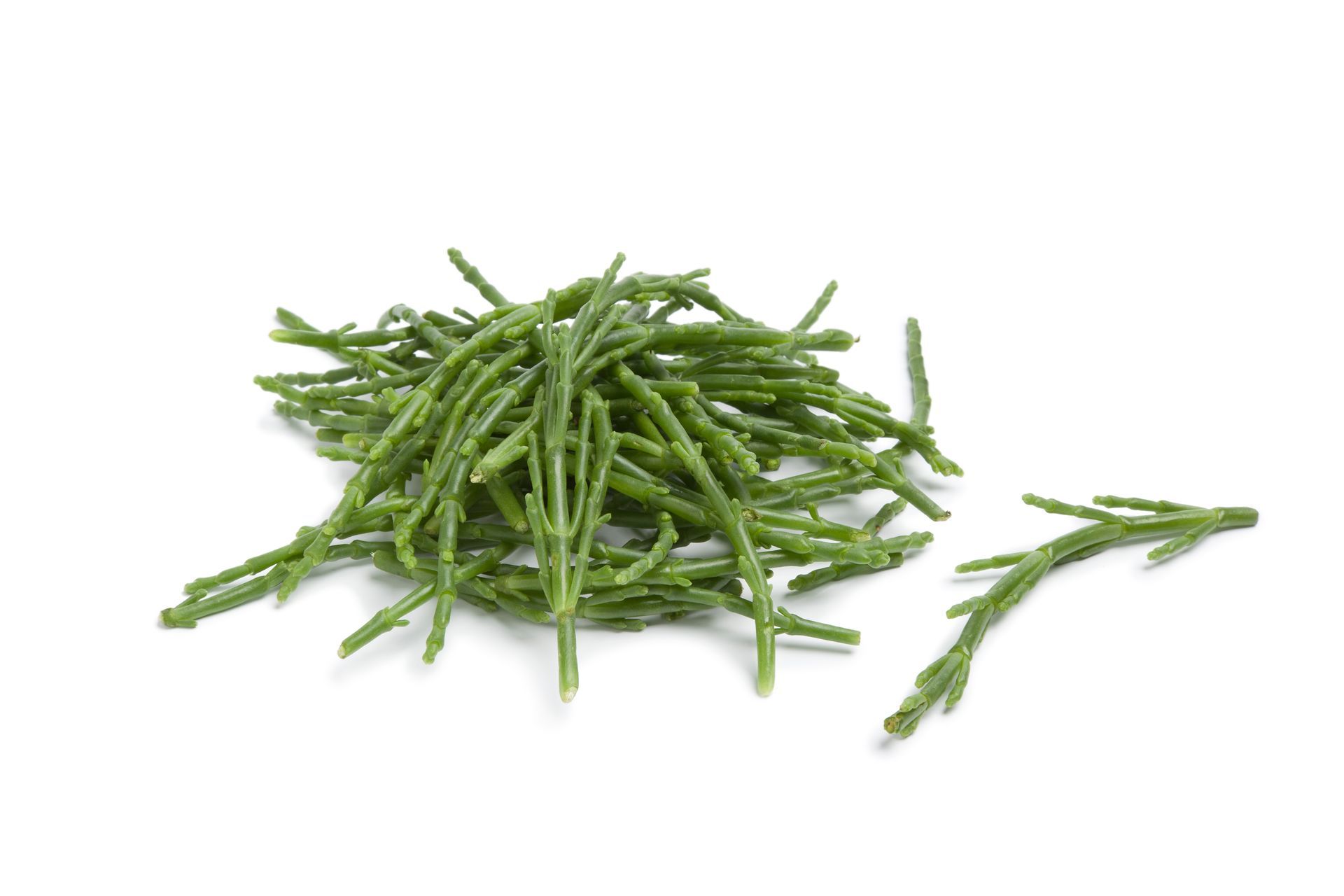 Samphire
