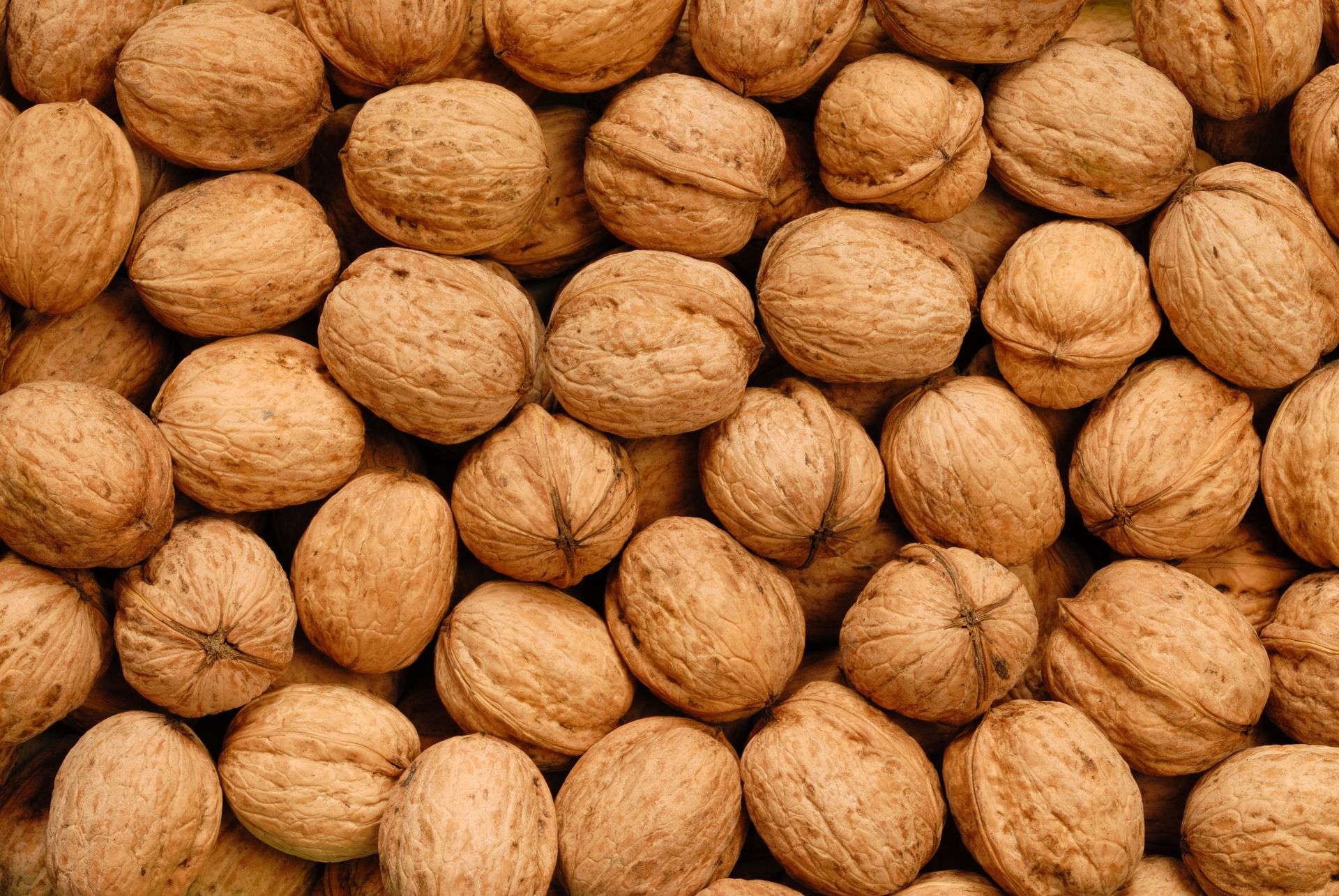 Walnuts in Shell