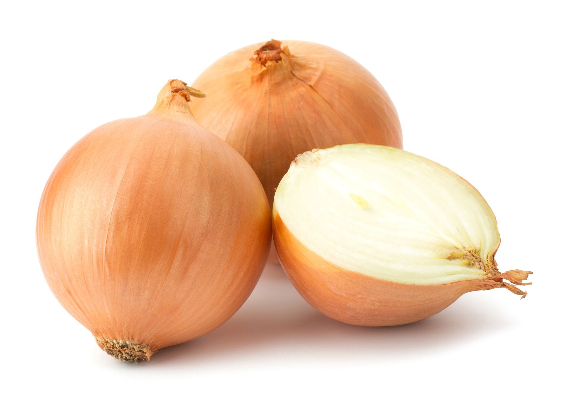 Onions English