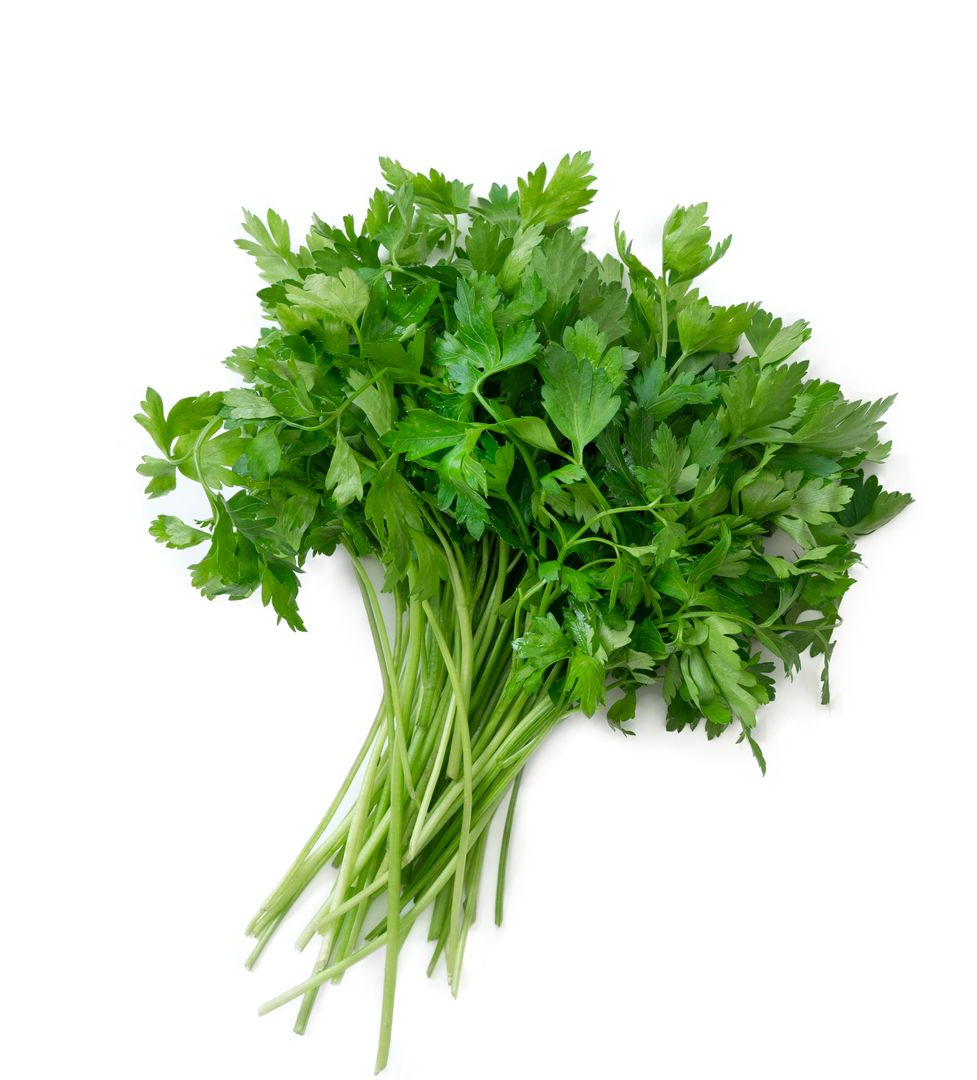Parsley Flat Leaf