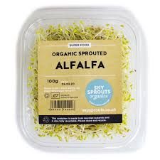 Alfalfa