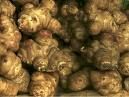 Jerusalem Artichokes