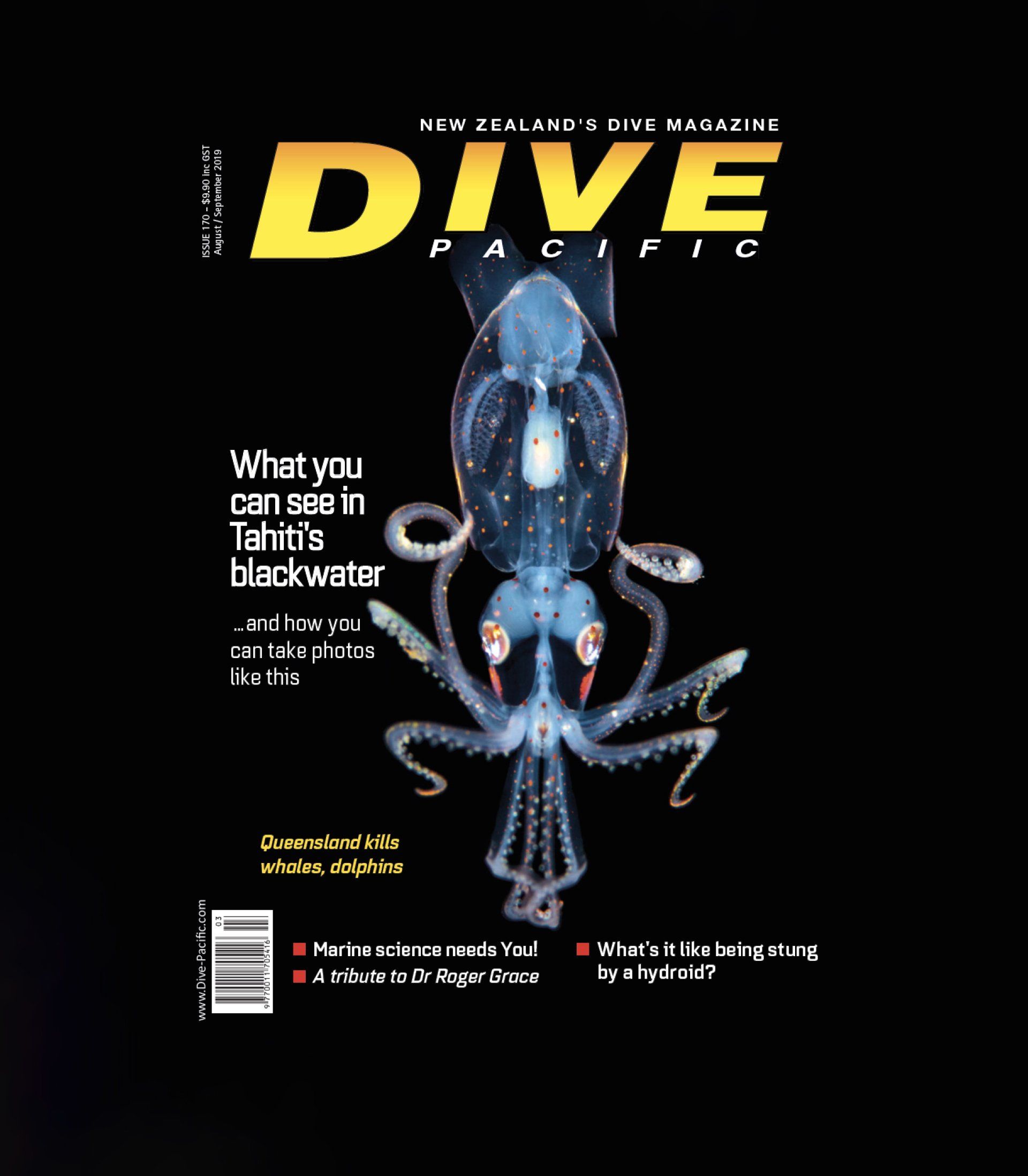 affinity-ads-dive-magazine