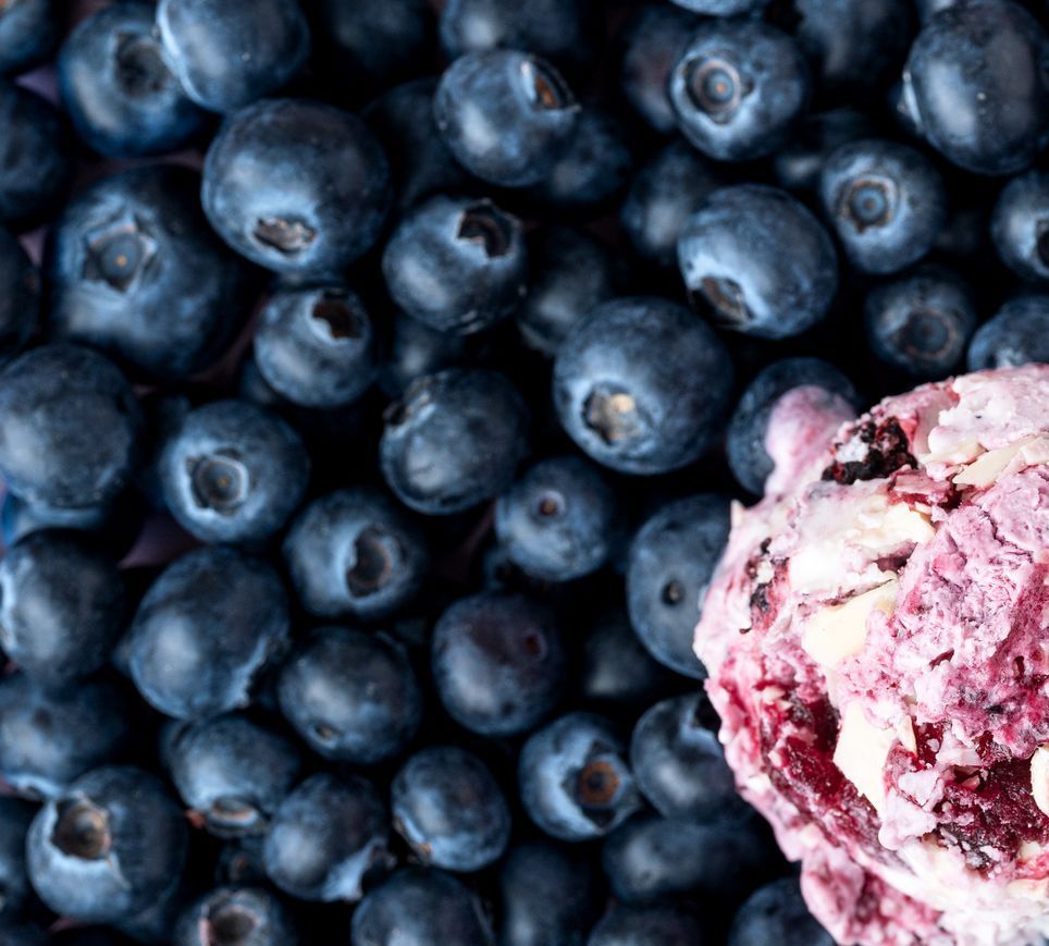 LEONE lonec On top of the world