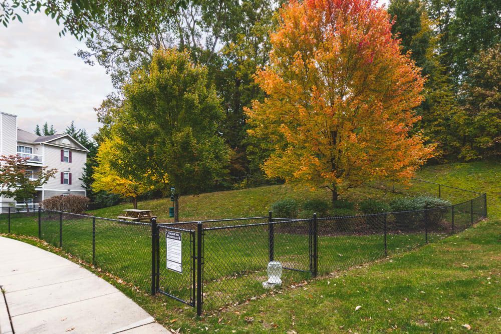 Dog park at Sunchase at James Madison. 