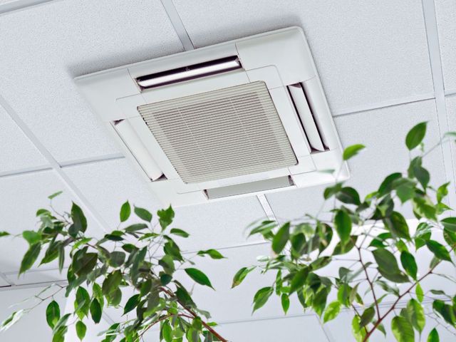 A plant is hanging from the ceiling next to an air conditioning unit