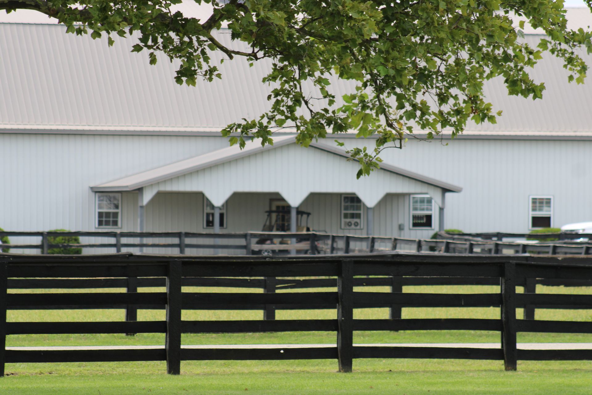 Land Of Lincoln Standardbred Sales Co. Gallery