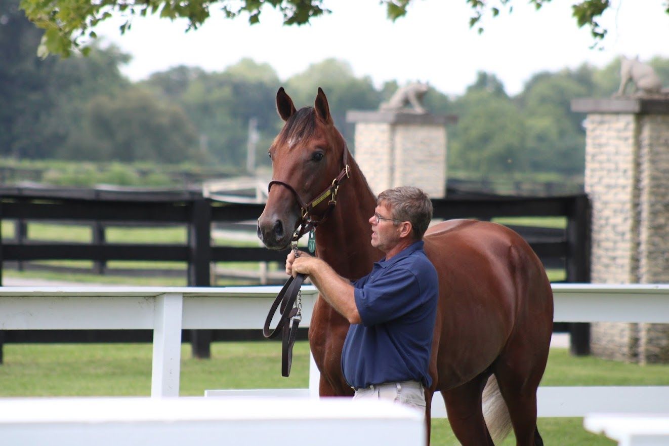 Land Of Lincoln Standardbred Sales Co. Gallery