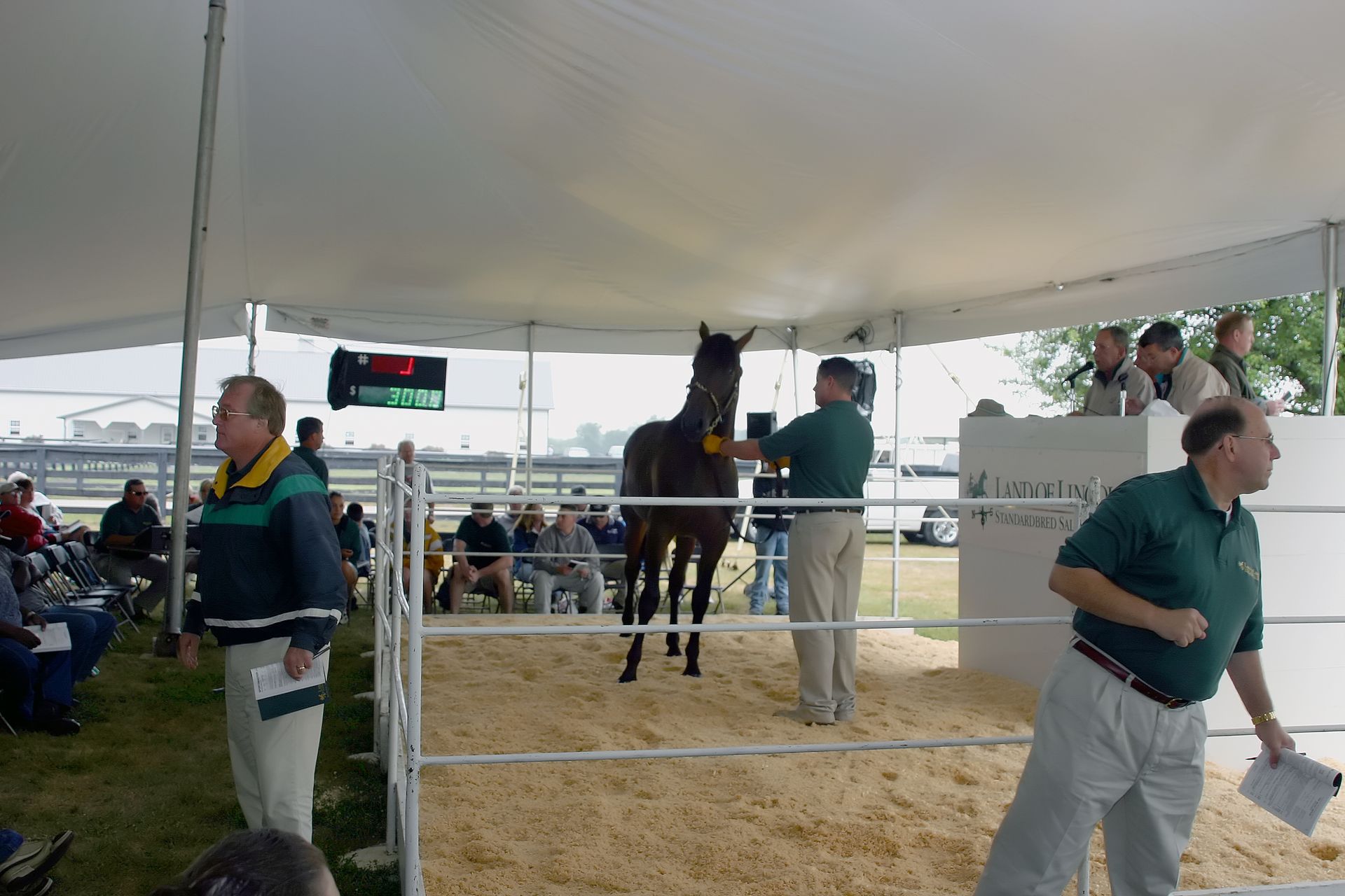 Land Of Lincoln Standardbred Sales Co. Gallery