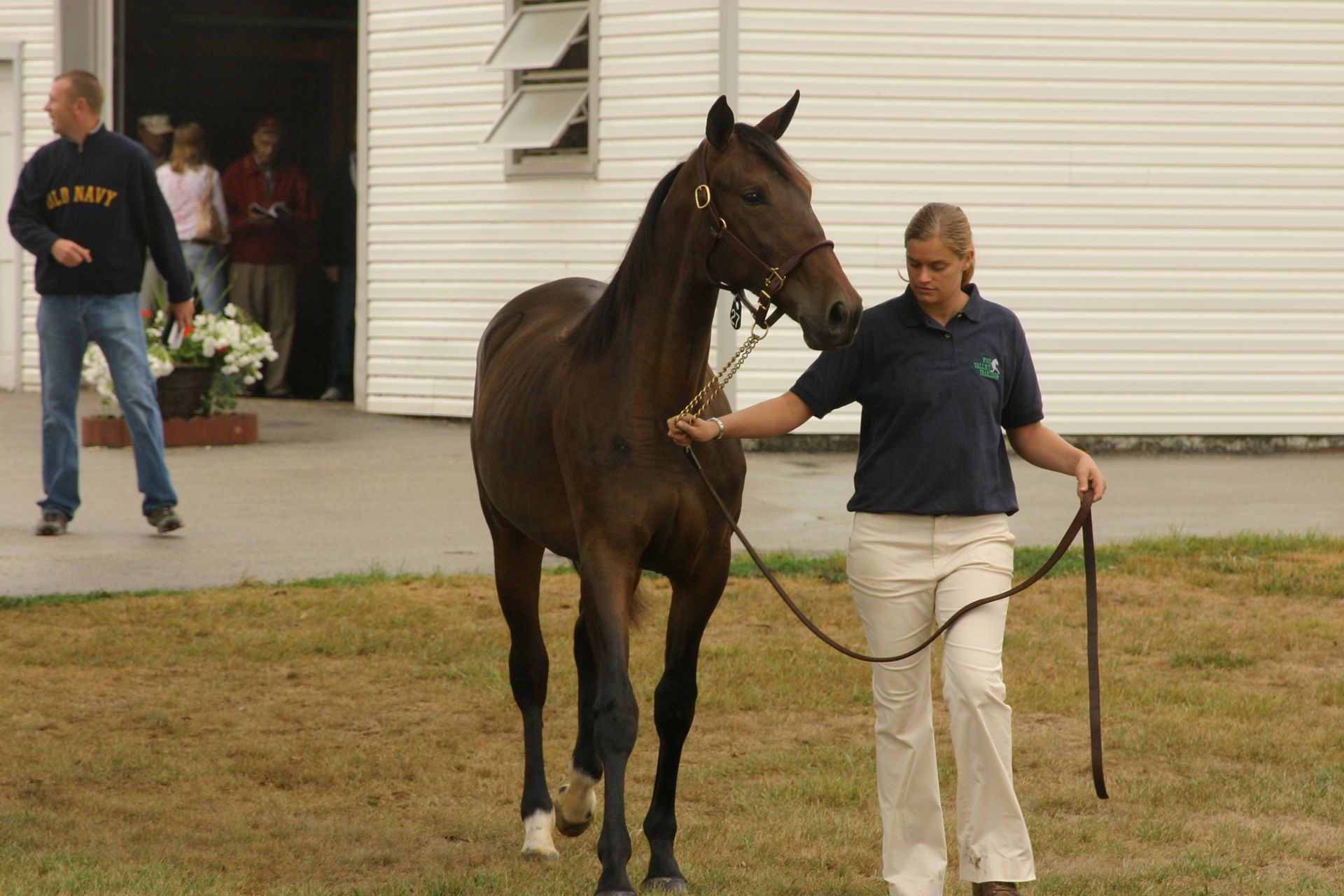 Land Of Lincoln Standardbred Sales Co. Gallery