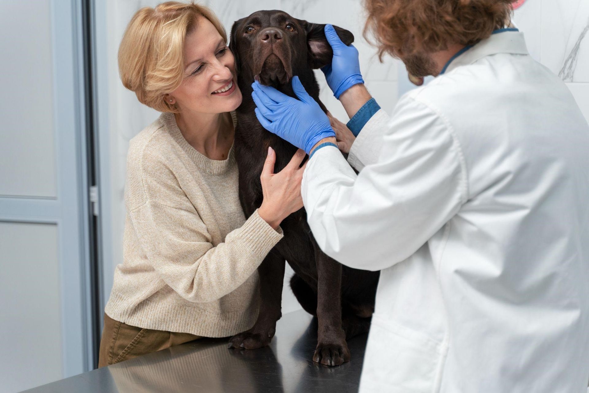 Fair Lawn Veterinary