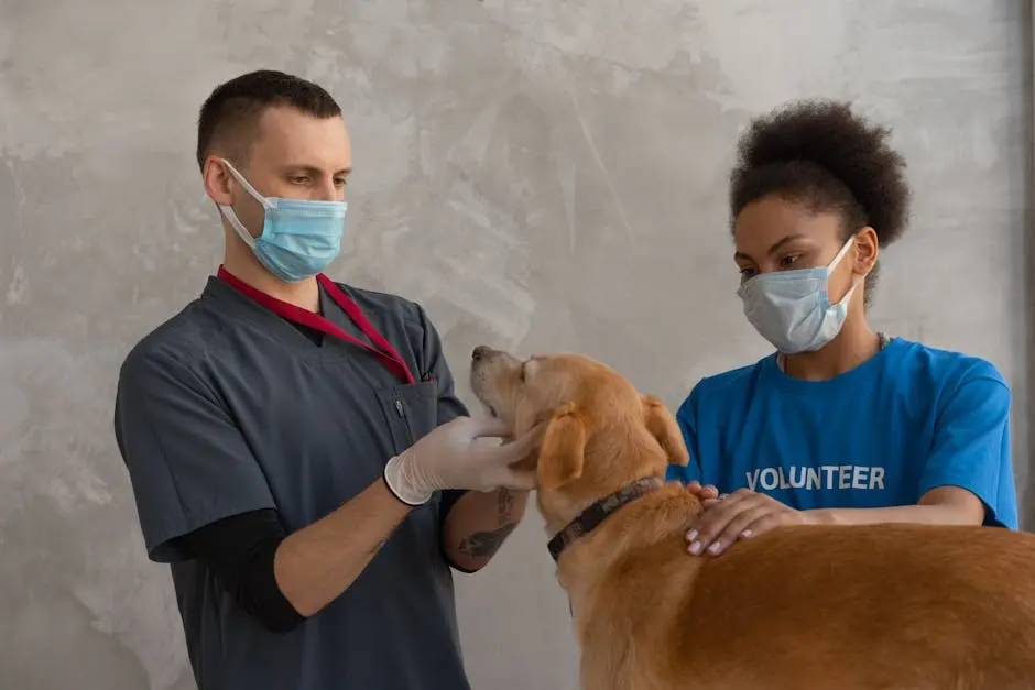 NJ animal clinic