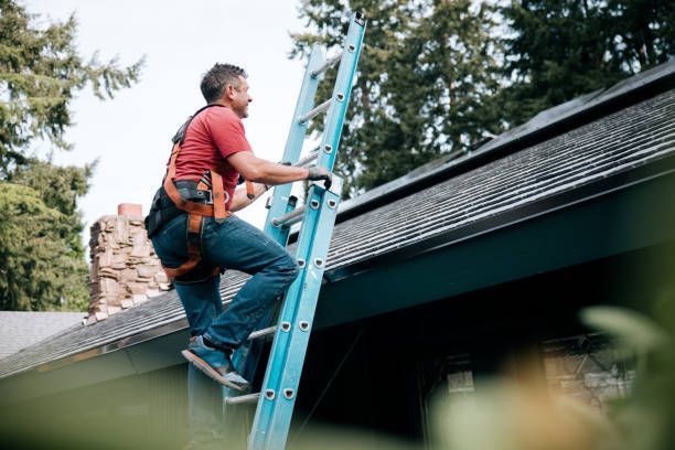 Person in a red shirt climbs a blue ladder to the roof of a house.