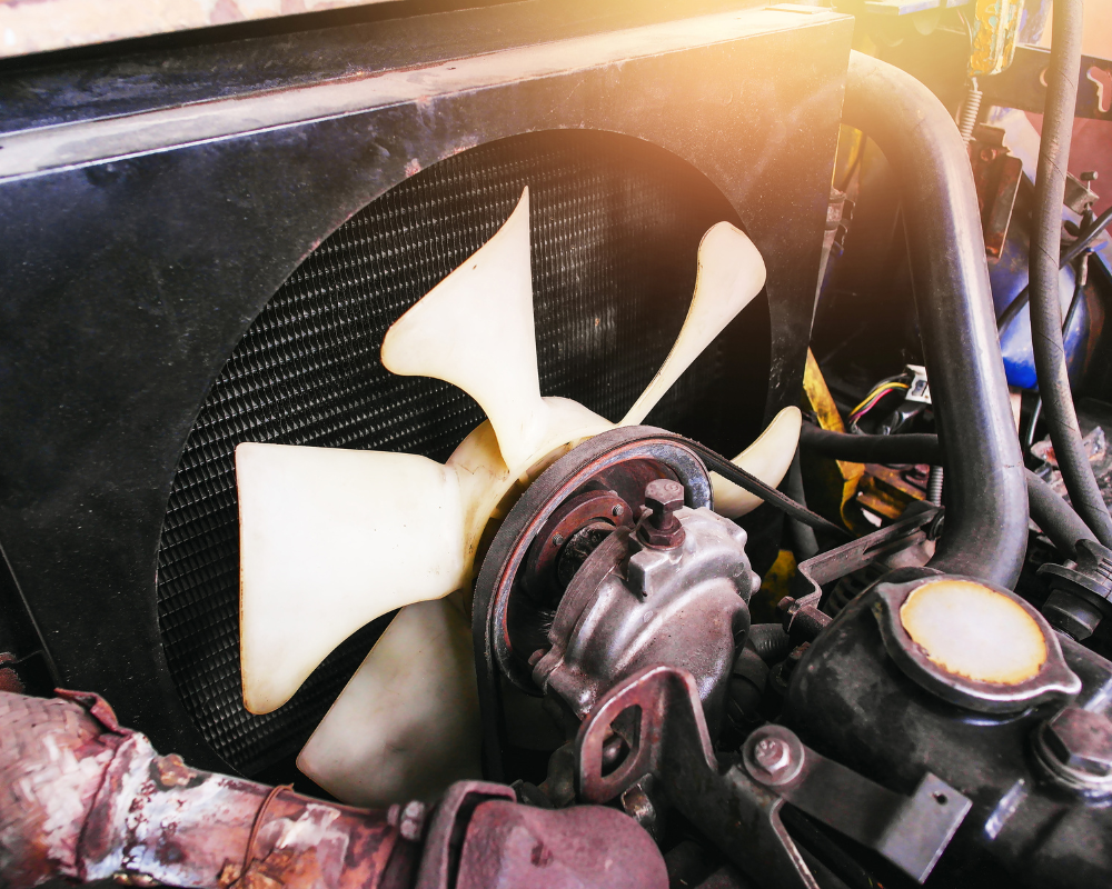 Engine cooling fan and radiator in a car engine compartment.