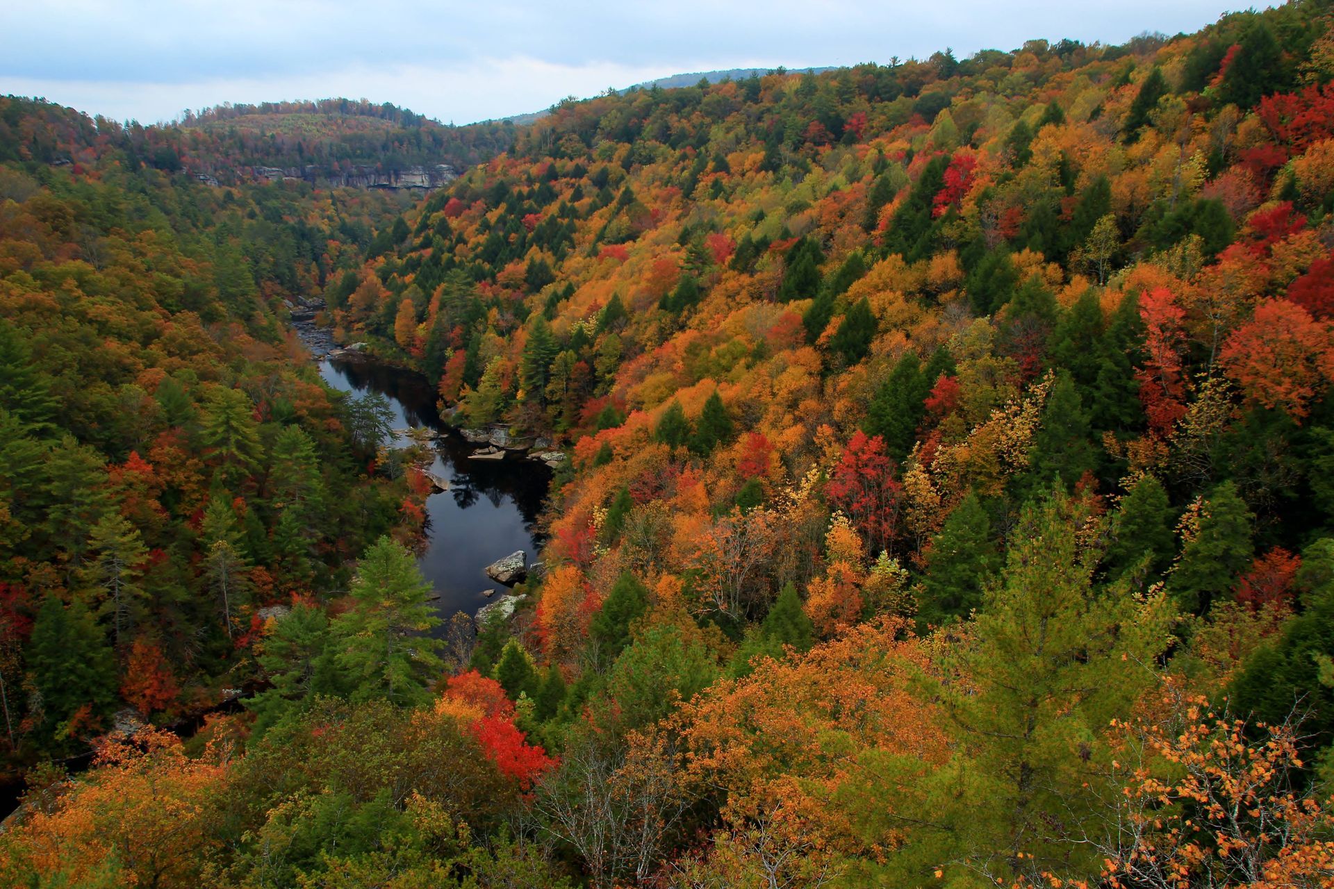 Obed National scenic river in Kentucky during falls colors at Kentucky River Tours near Frankfort, KY