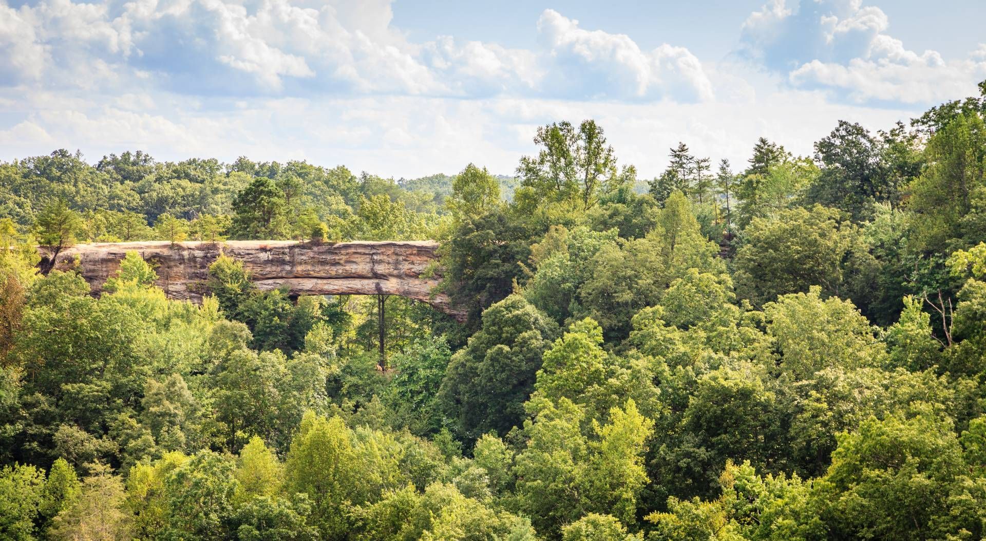 Natural Bridge in Red River Gorge, Kentucky