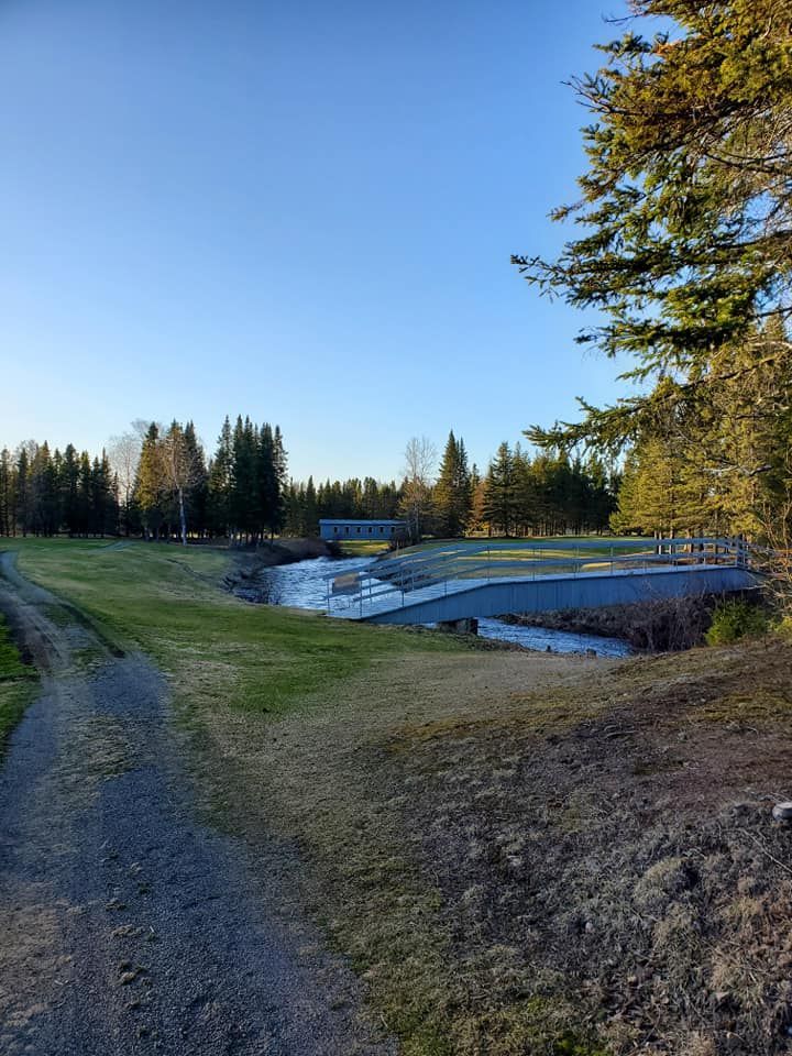Il y a un pont sur une rivière au milieu d'un champ.