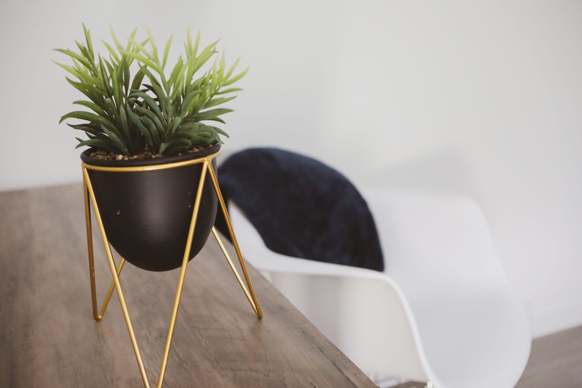Une plante en pot est posée sur une table à côté d'une chaise.