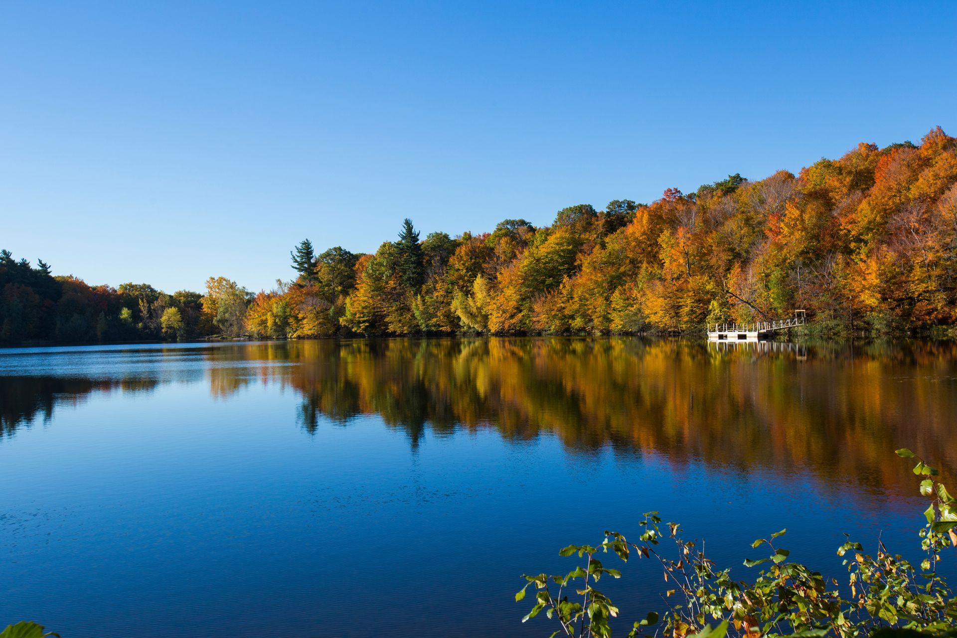 Un lac entouré d'arbres par une journée ensoleillée