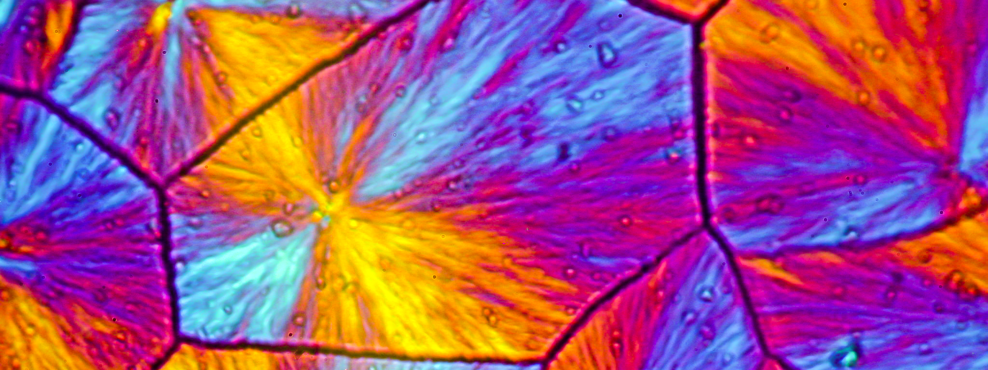 Polyethylene crystallite viewed by polarised microscopy