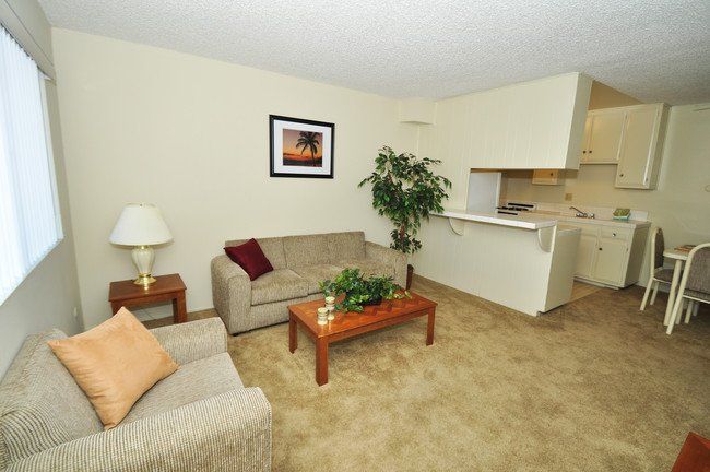 furnished living room with plush carpet flooring