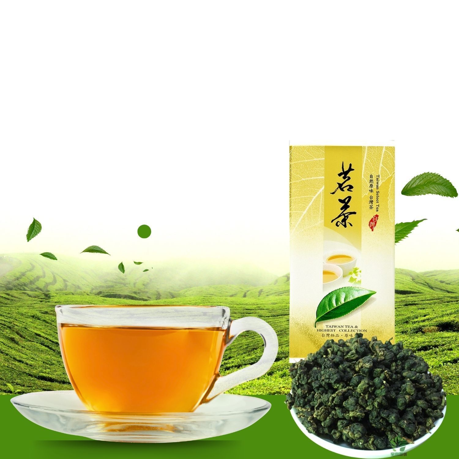 一杯茶，裡面裝著散裝茶葉和一包茶葉，背景是茶園。